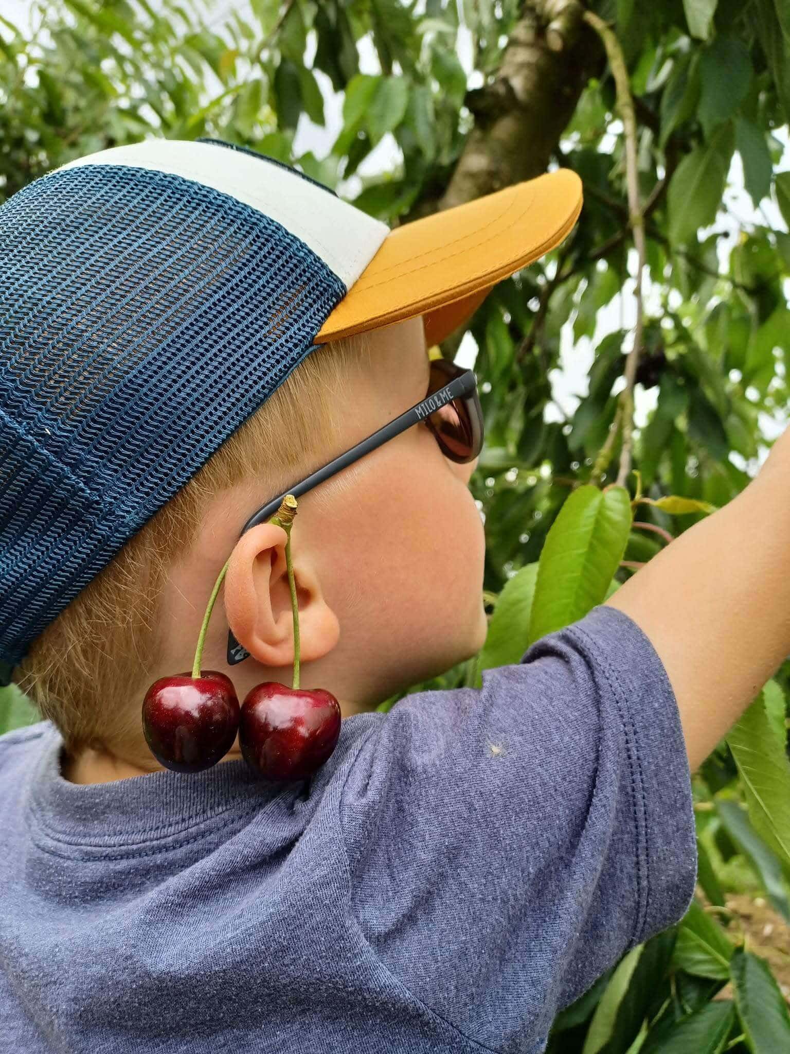 Garçon avec des cerises sur l'oreille