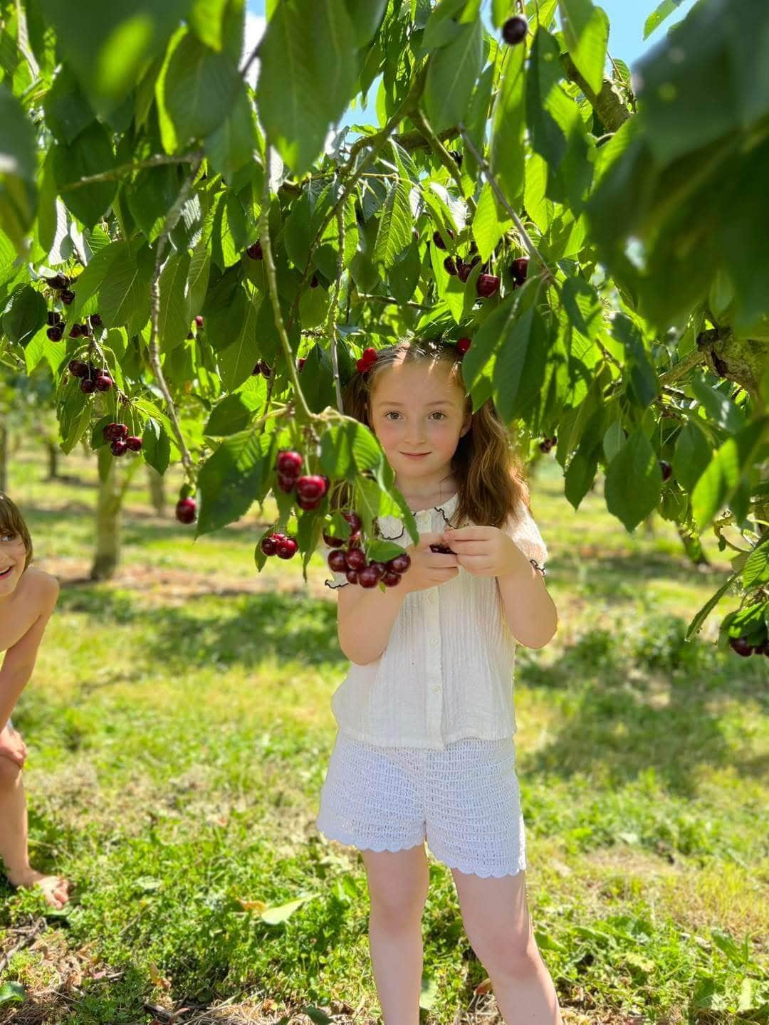 Fillette cueillant des cerises