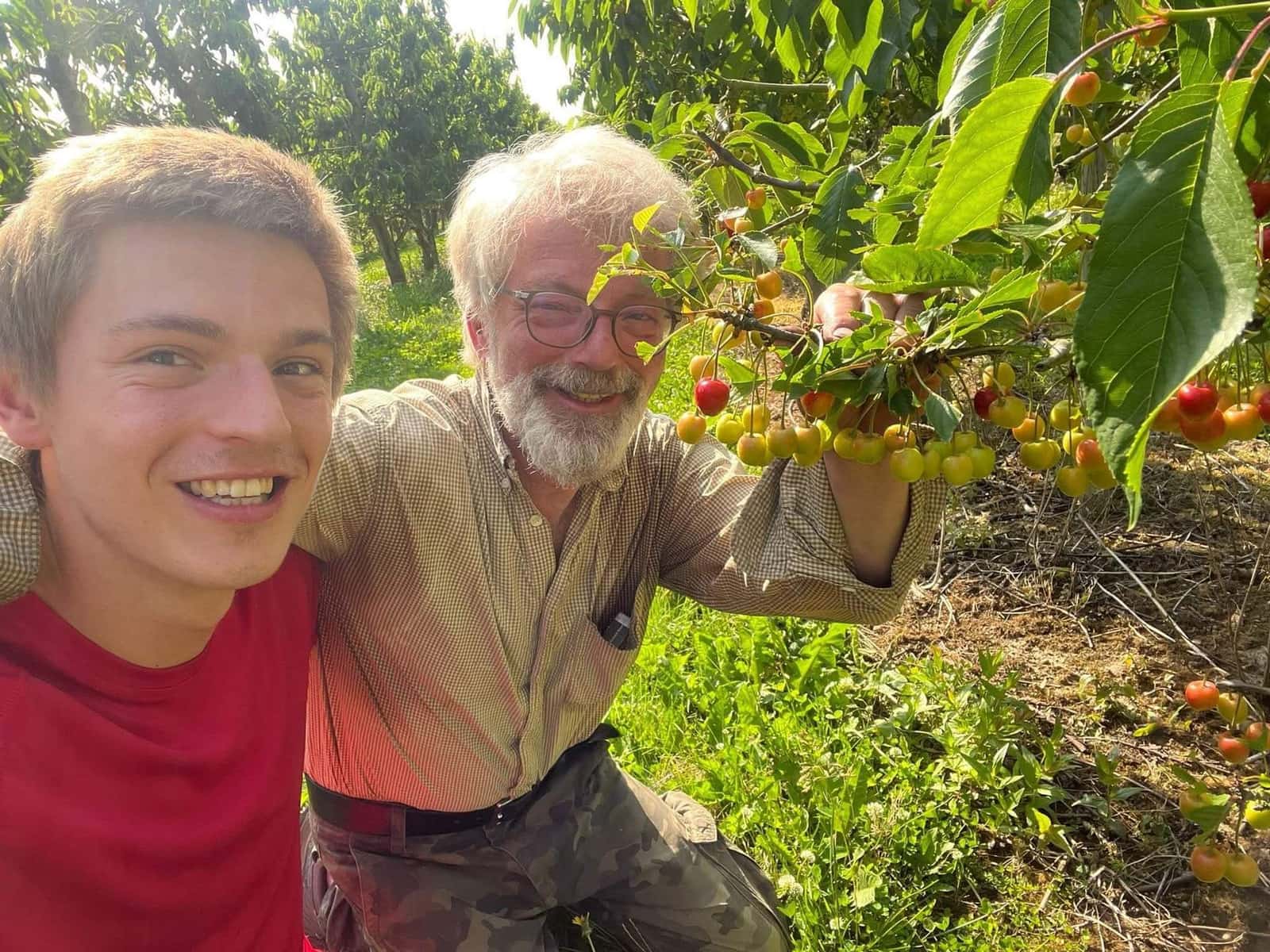 Grand-père et petit-fils au verger