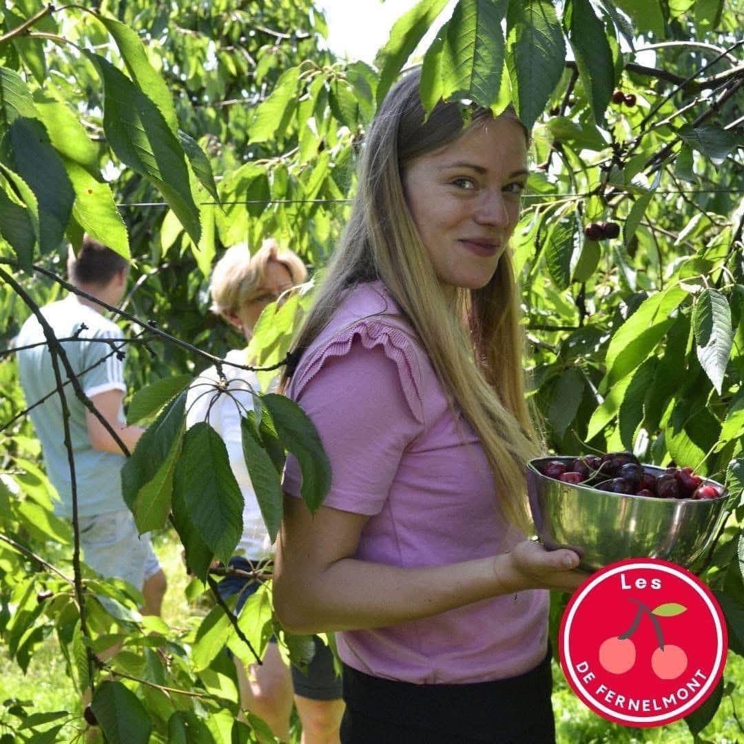 5 makkelijke recepten met verse kersen