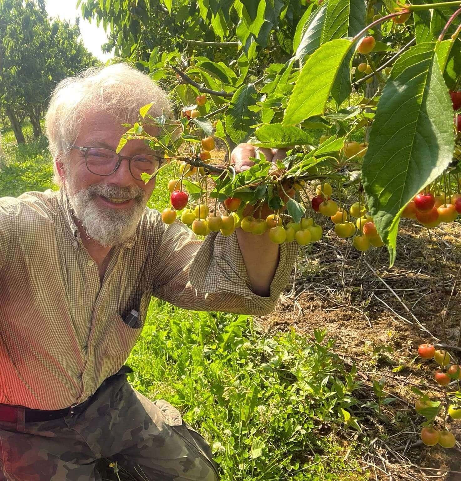 Bernard au verger montrant les cerises