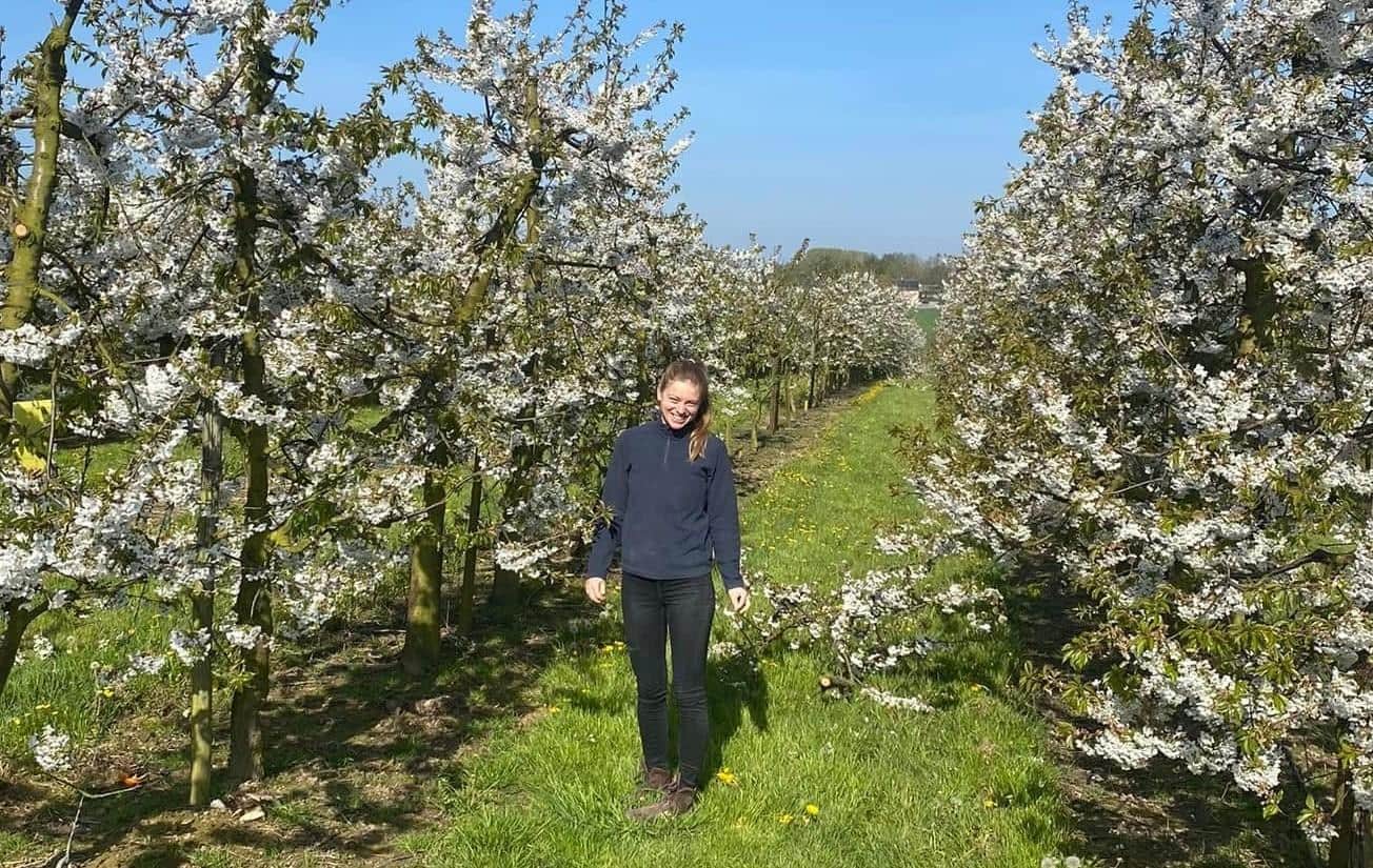 Camille entre les cerisiers en fleur