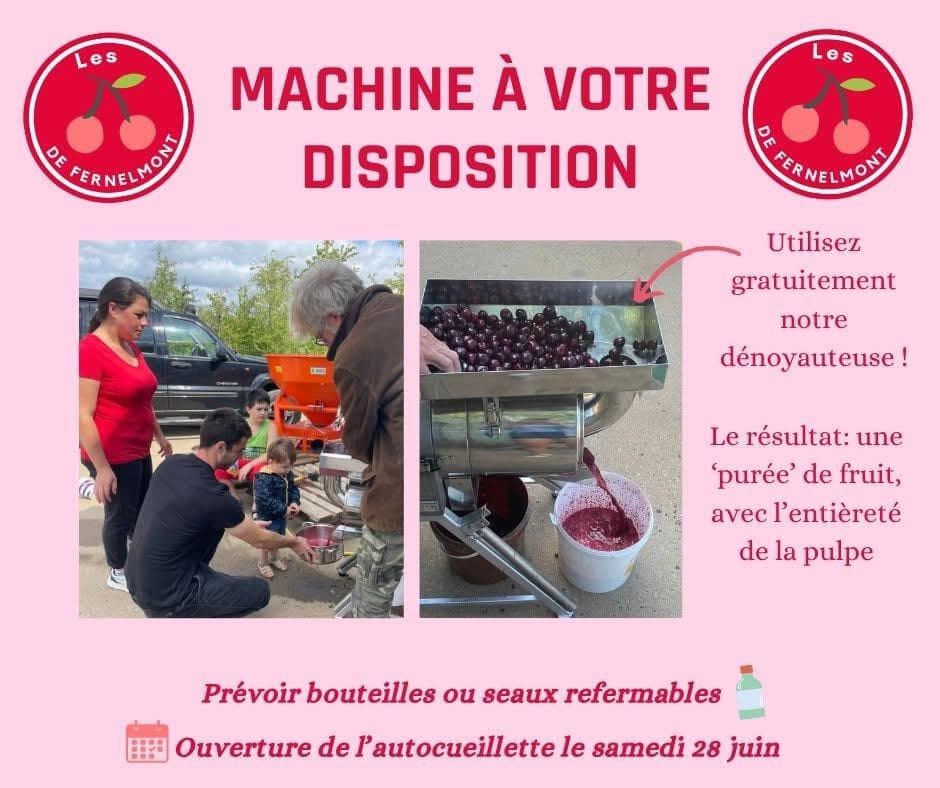 Machine dénoyauteuse à votre disposition
