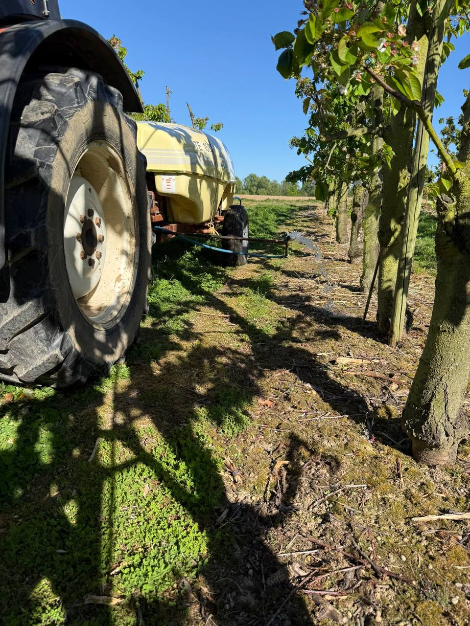 Onze tractor en de watertank langs een rij kersenbomen in Fernelmont