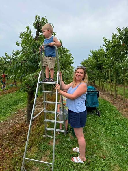 Le verger des Cerises de Fernelmont en juillet, ambiance estivale sous les cerisiers
