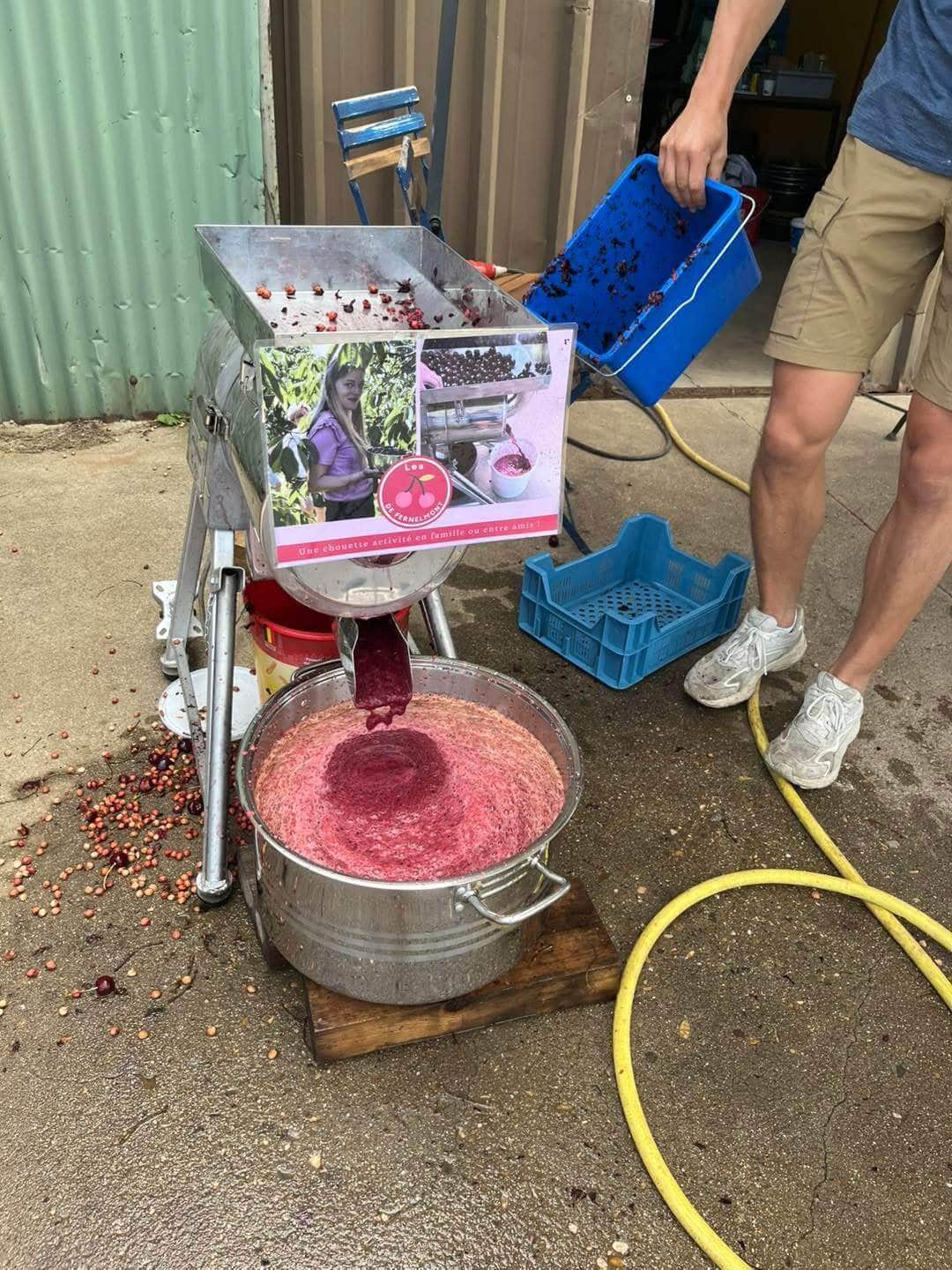 Ontpitter in actie die kersenpuree maakt