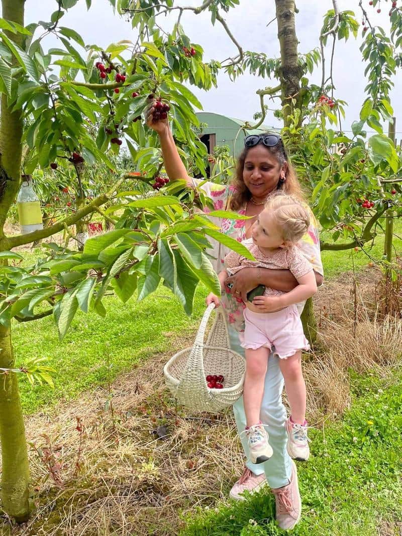Moeder en haar dochter die samen kersen plukken in onze boomgaard